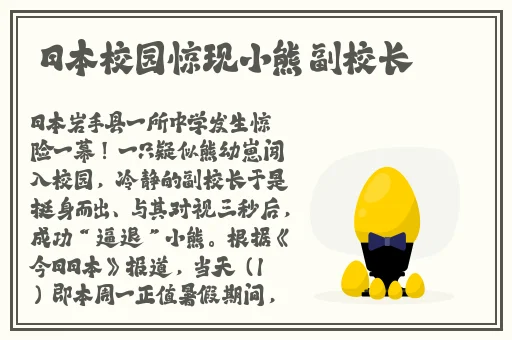 日本激烈摇床